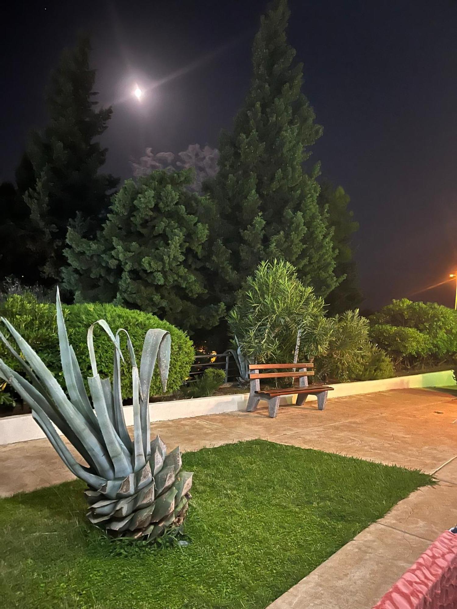 Adriatic Apartman Bečići Luaran gambar